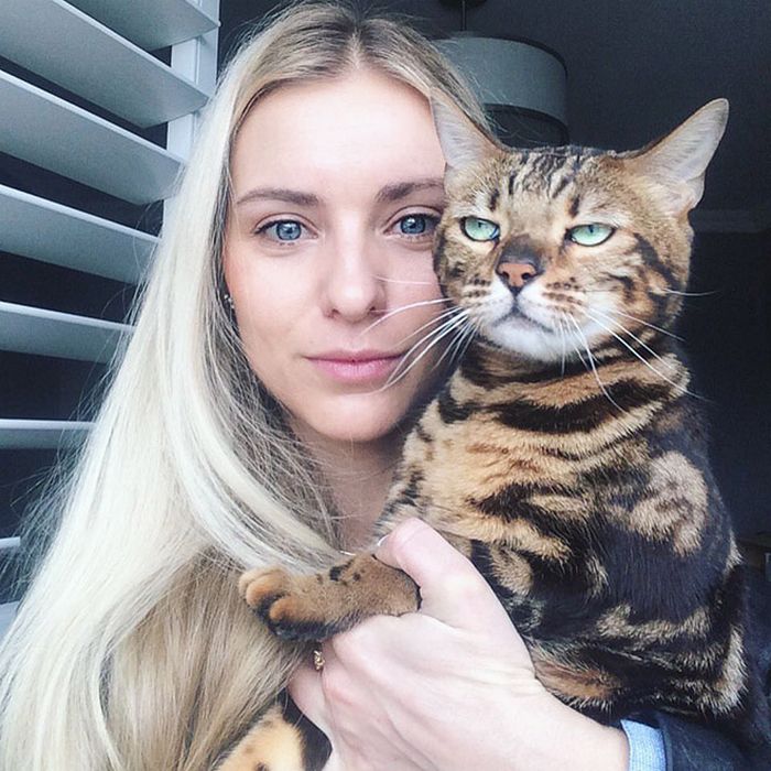 Gatos que odeiam estar em selfies com seus humanos (21 fotos) 17 Gatos que odeiam estar em selfies com seus humanos (21 fotos) 17