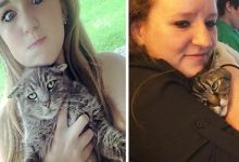 Gatos que odeiam estar em selfies com seus humanos (21 fotos) 10
