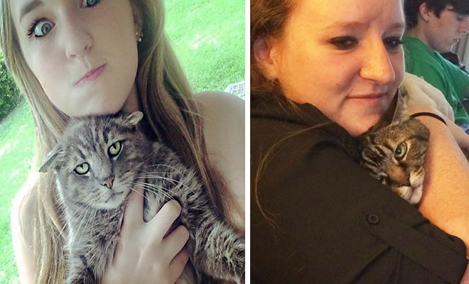 Gatos que odeiam estar em selfies com seus humanos (21 fotos)