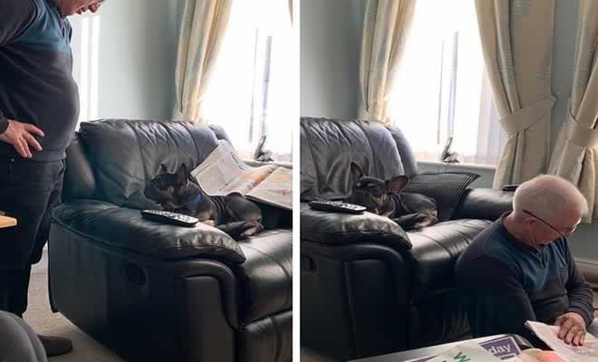 19 fotos que mostram o quanto somos apegados aos nossos animais