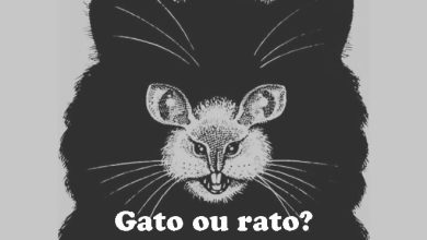 10 ilusões de ótica para desafie seu cérebro 7