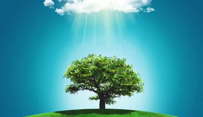 10 poderes que você tem 5