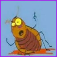 Com quem você aprendeu esses palavrões