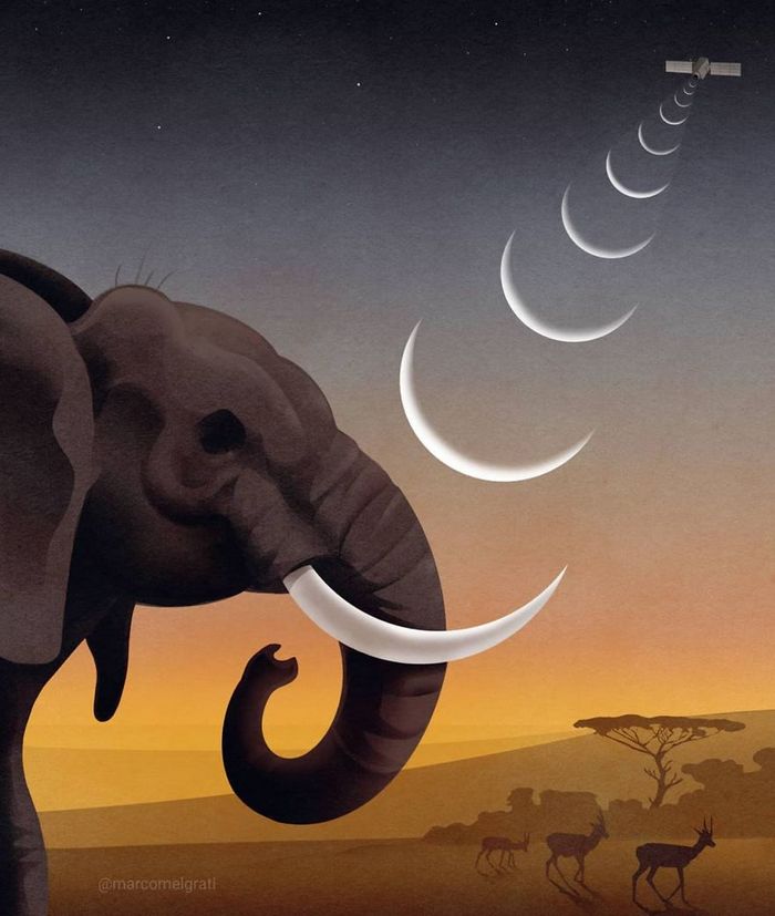 37 triste verdade da vida moderna 19