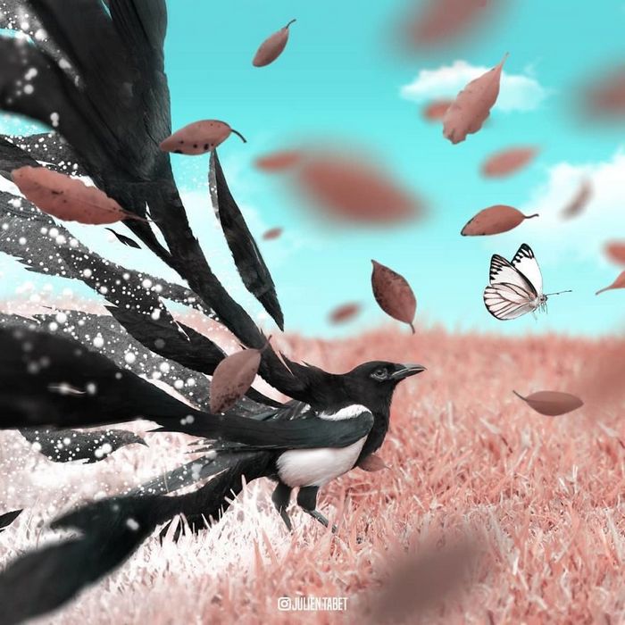 Aqui está como eu imagino que os animais se comportam quando você não está olhando (25 fotos) 1