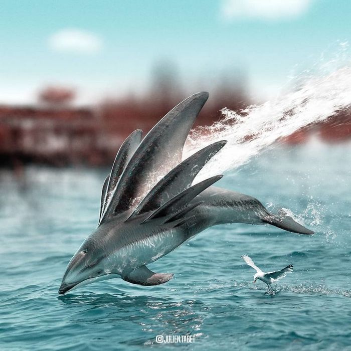 Aqui está como eu imagino que os animais se comportam quando você não está olhando (25 fotos) 4