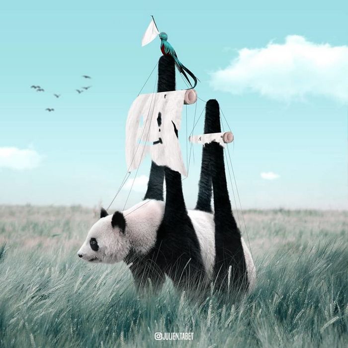 Aqui está como eu imagino que os animais se comportam quando você não está olhando (25 fotos) 5