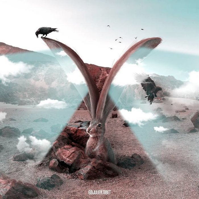 Aqui está como eu imagino que os animais se comportam quando você não está olhando (25 fotos) 7