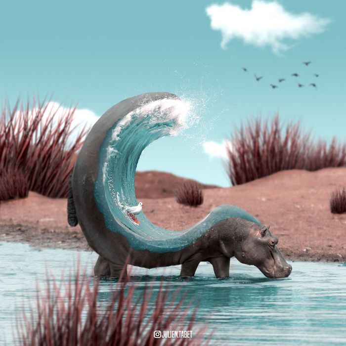 Aqui está como eu imagino que os animais se comportam quando você não está olhando (25 fotos) 11