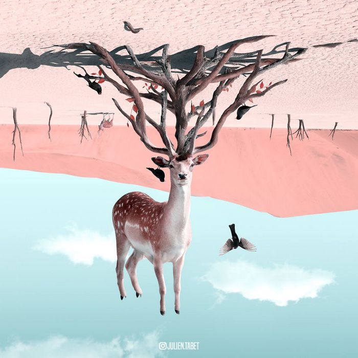 Aqui está como eu imagino que os animais se comportam quando você não está olhando (25 fotos) 14