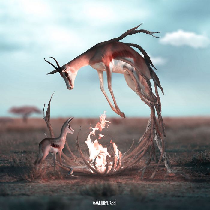 Aqui está como eu imagino que os animais se comportam quando você não está olhando (25 fotos) 15