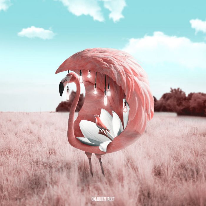 Aqui está como eu imagino que os animais se comportam quando você não está olhando (25 fotos) 17