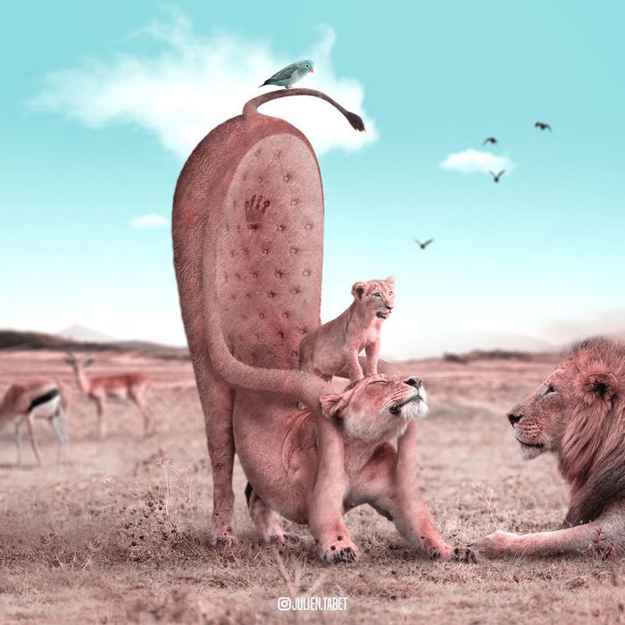 Aqui está como eu imagino que os animais se comportam quando você não está olhando (25 fotos) 20