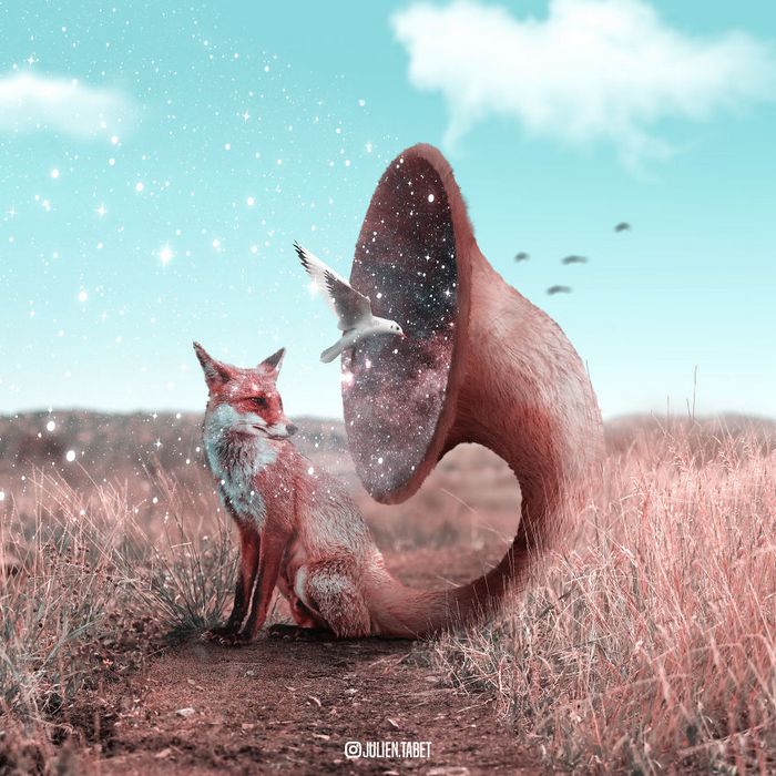 Aqui está como eu imagino que os animais se comportam quando você não está olhando (25 fotos) 23