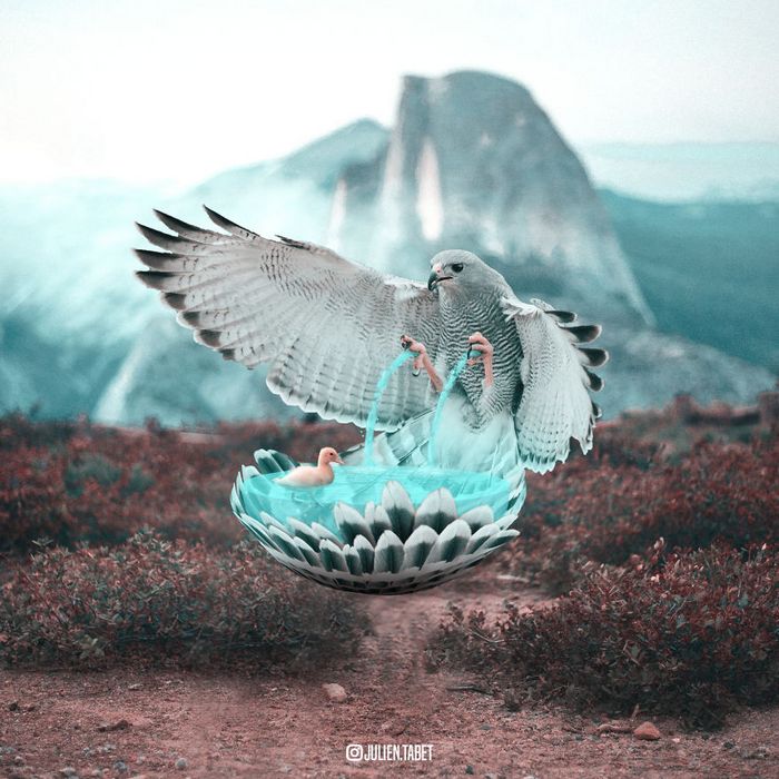 Aqui está como eu imagino que os animais se comportam quando você não está olhando (25 fotos) 24