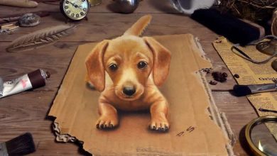 Artista alemão cria desenhos 3D incríveis em papel (30 fotos) 22