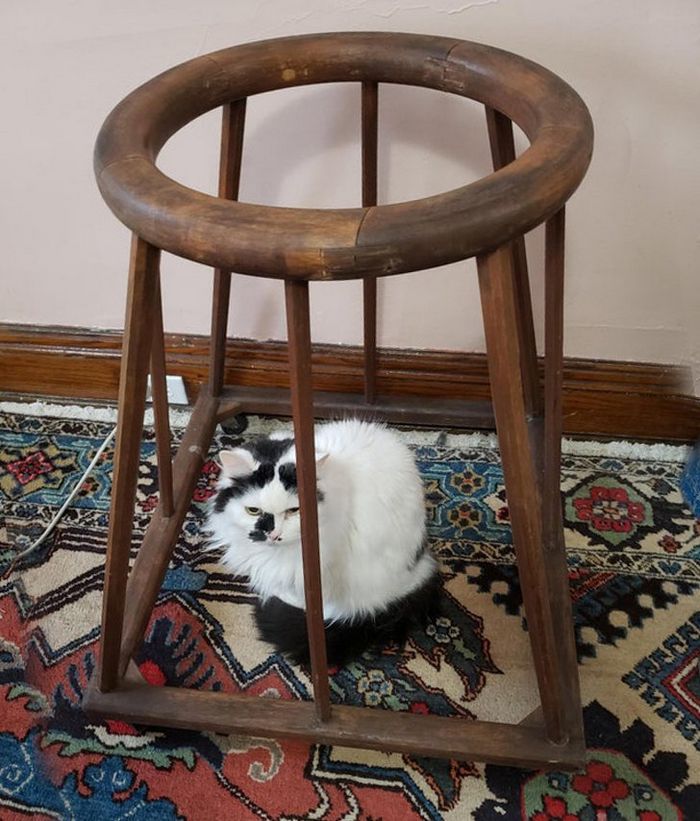 22 coisas que provavelmente você não tem a menor ideia para que servem 16