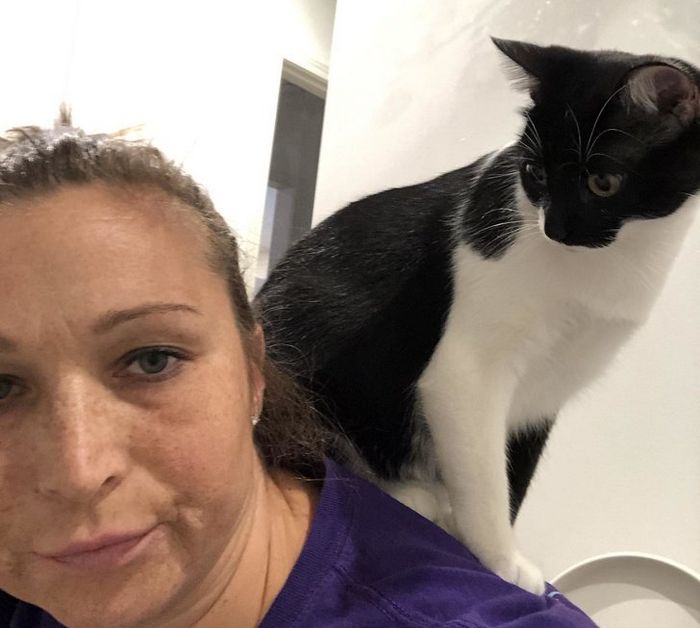 21 coisas que só os donos de gatos vão entender 7