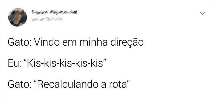 21 coisas que só os donos de gatos vão entender 22