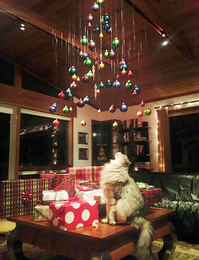 21 dicas genias de como proteger sua árvore de Natal dos animais de estimação 11 21 dicas genias de como proteger sua árvore de Natal dos animais de estimação 11