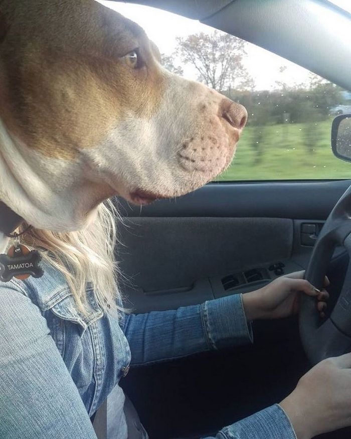 21 fotos que vão mexer com você 7