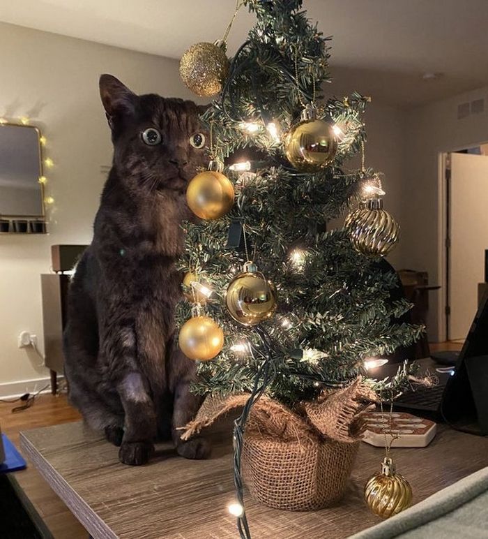 21 fotos que vão mexer com você 12