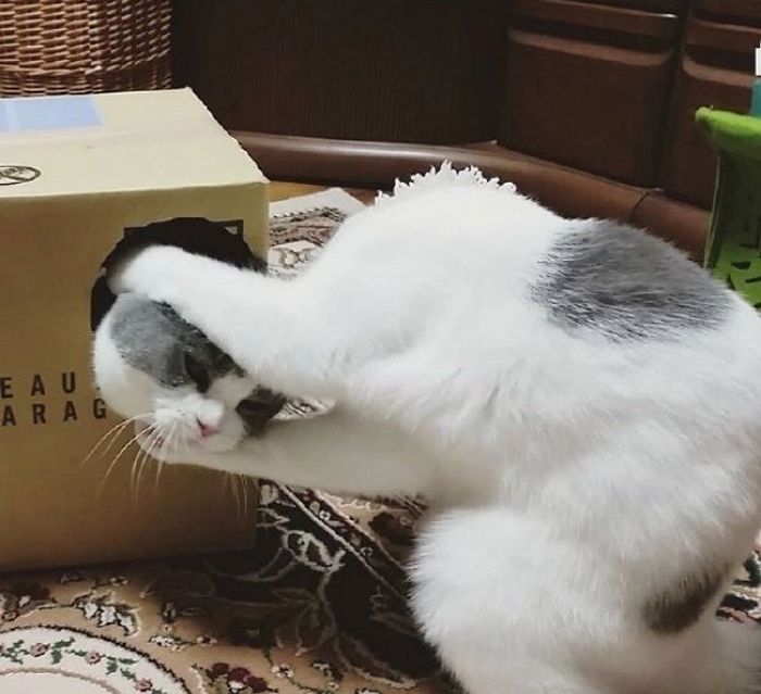 21 fotos que vão mexer com você 21