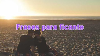 60 frases para ficante