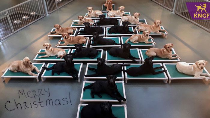 34 vezes funcionários criativos construíram árvores de Natal com temas de trabalho 27