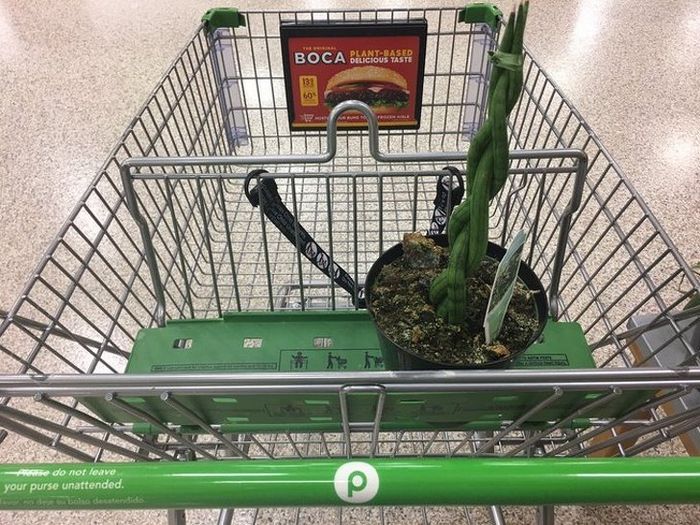 15 ideias geniais que vai fazer você economizar seu tempo, dinheiro e estresse 1