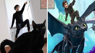 32 novos trajes do cara de cosplay barato que estão hilariantes 37