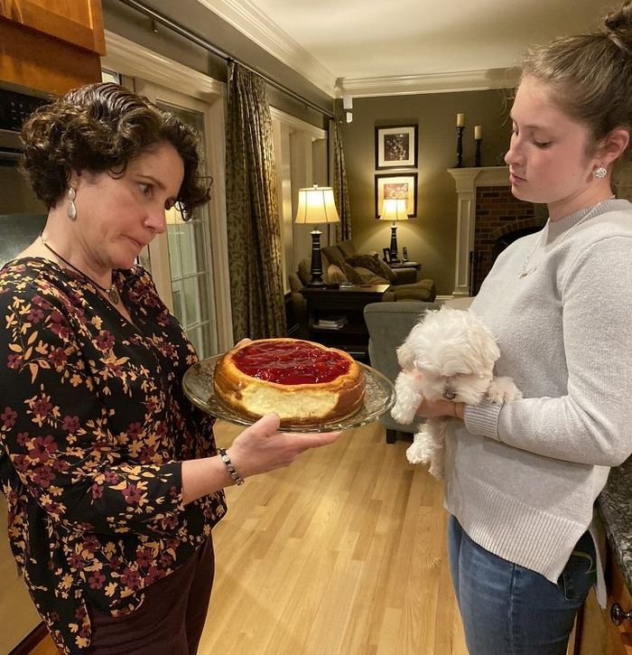 18 animais de estimação que não entendem o que significa espaço pessoal 1