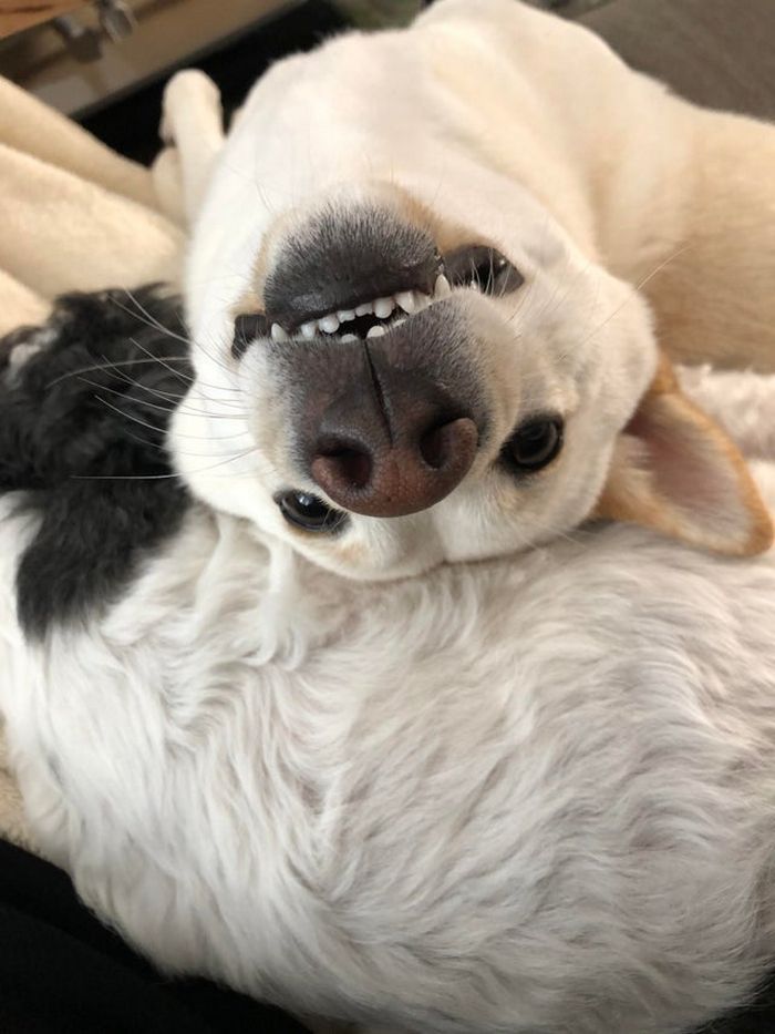 Há uma comunidade on-line 