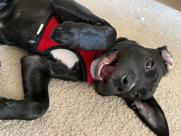 Há uma comunidade on-line 