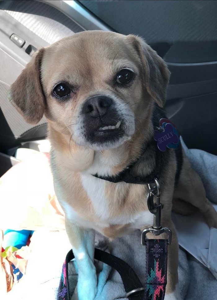 Há uma comunidade on-line 