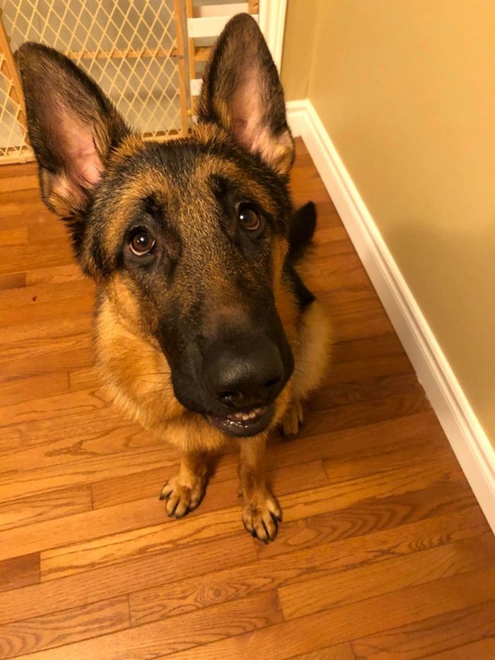 Há uma comunidade on-line 