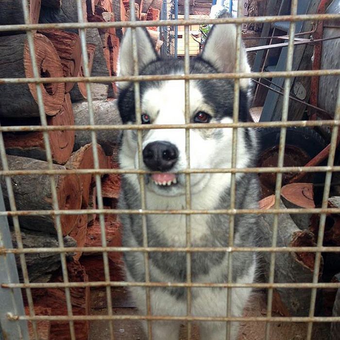 Há uma comunidade on-line 