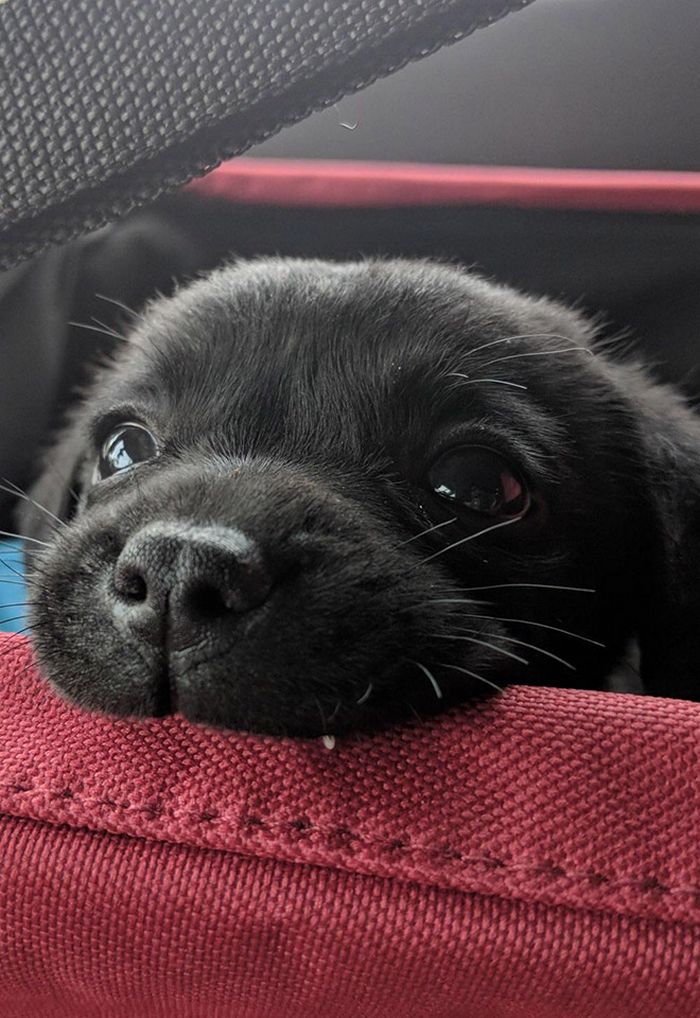 Há uma comunidade on-line 