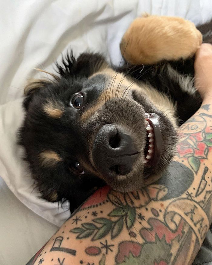 Há uma comunidade on-line 