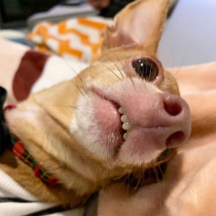 Há uma comunidade on-line 