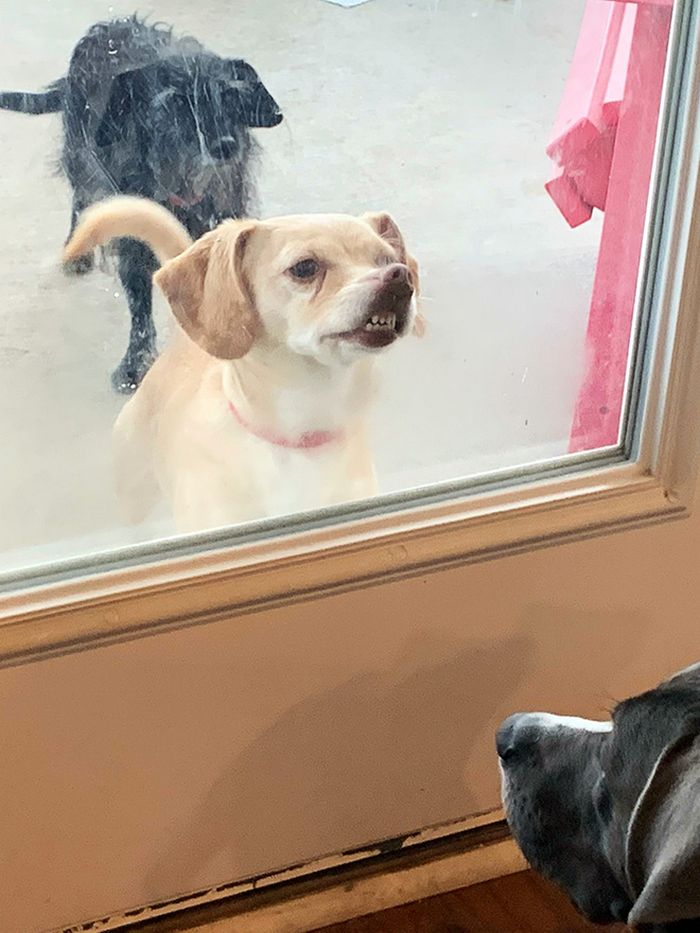 Há uma comunidade on-line 