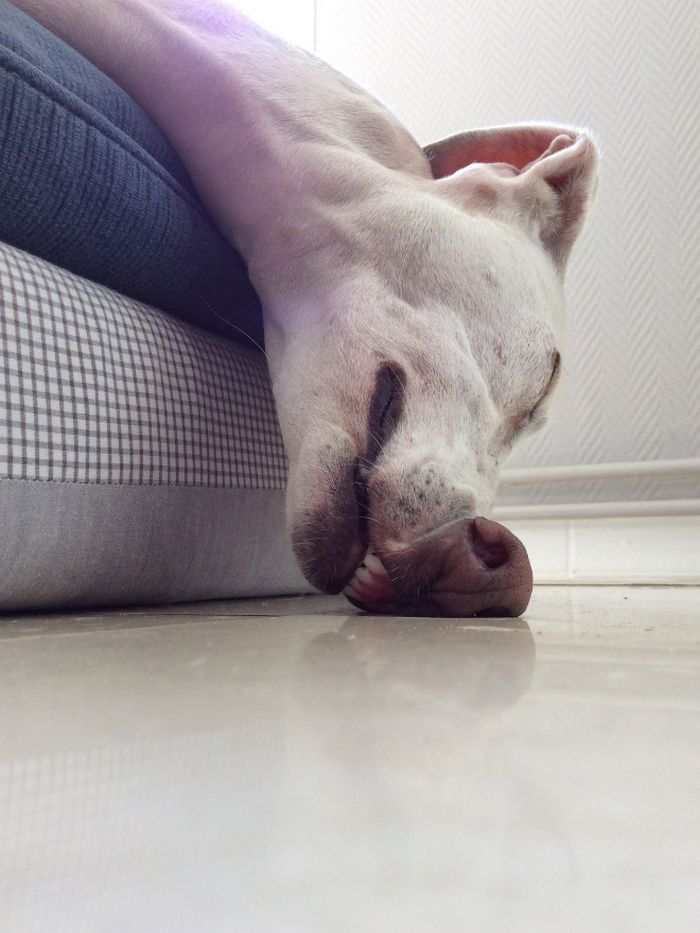 Há uma comunidade on-line 