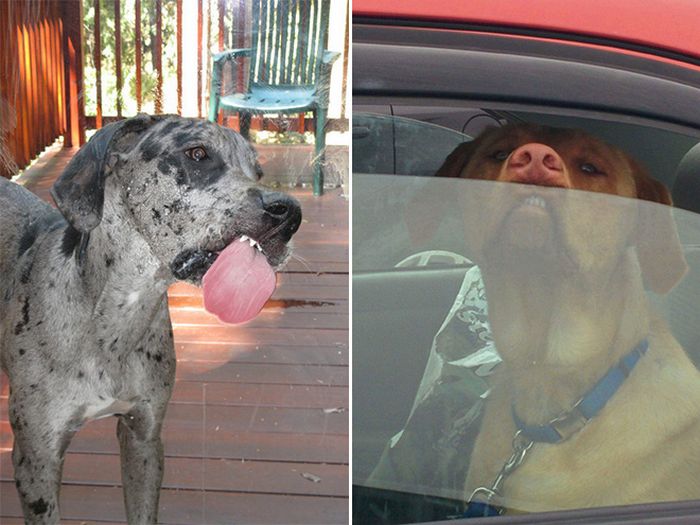 Há uma comunidade on-line 