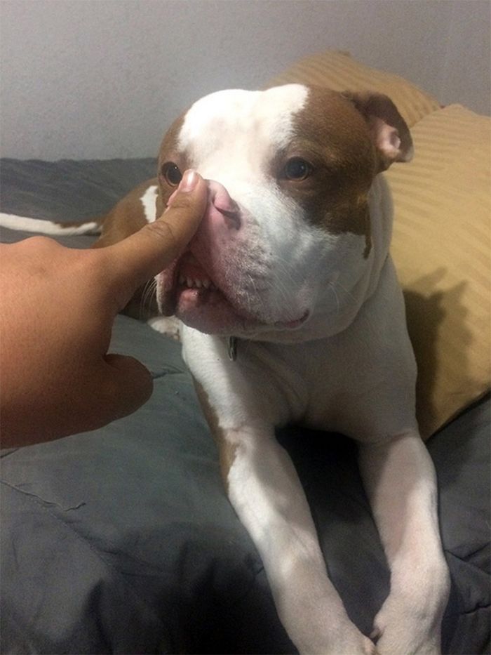 Há uma comunidade on-line 