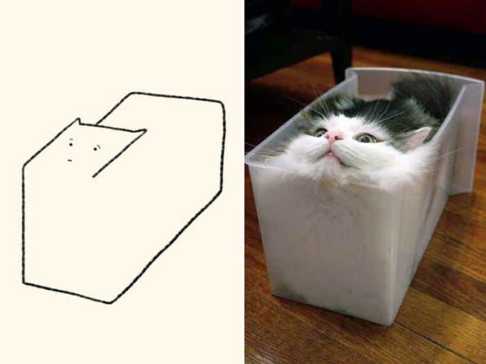 21 desenhos de gato realmente precisos 2