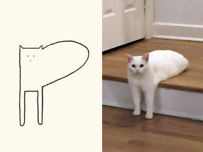 21 desenhos de gato realmente precisos 3