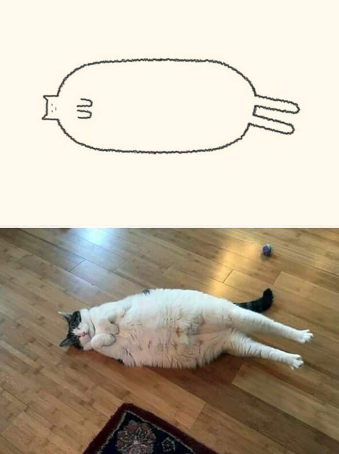 21 desenhos de gato realmente precisos 5