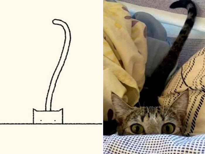 21 desenhos de gato realmente precisos 6
