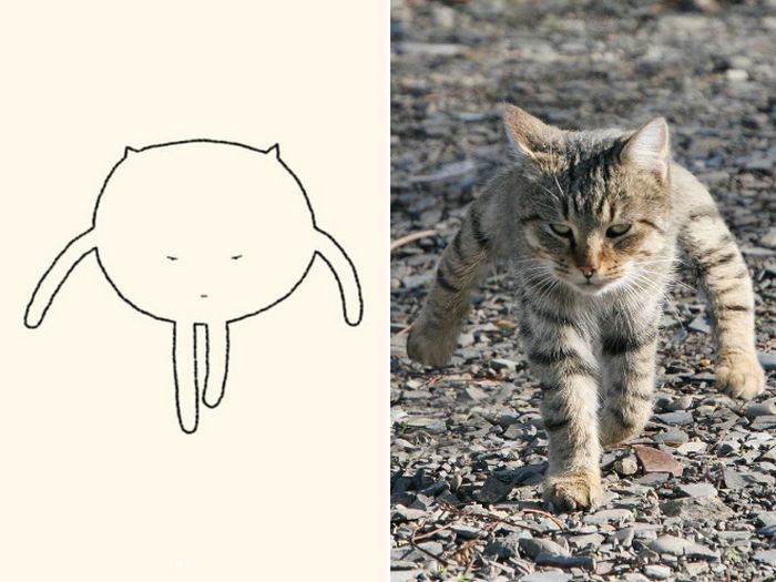 21 desenhos de gato realmente precisos 9