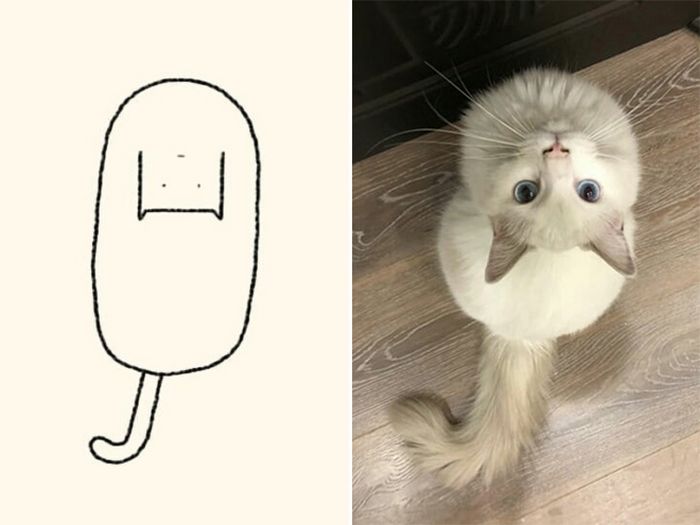 21 desenhos de gato realmente precisos 12